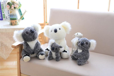 Image of Henry Plush Koala Plush Toys in all sizes from Almas Collections